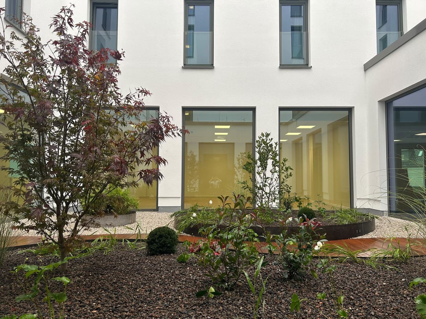 Begrünter Innenhof mit Bäumen, Beeten und Holzweg vor dem Kursraum